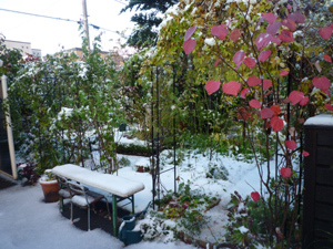 10-10-27c.jpg