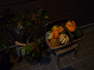 10-10-31e.jpg