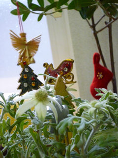 10-11-10xmas.jpg
