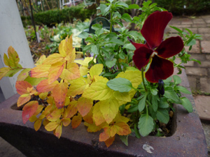 10-11-22d.jpg