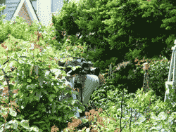 07-6-6uhb.gif