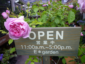 09-6-22shop.the.ingenious.m.jpg
