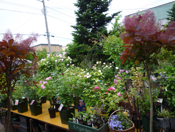 09-6-22shop2.jpg