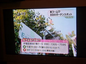 09-7-15htbichioshi1.jpg