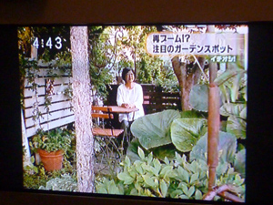 09-7-15htbichioshi2.jpg