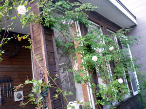 09-9-26bara3.jpg