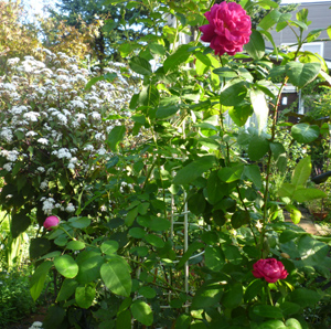 10-10-13b.jpg