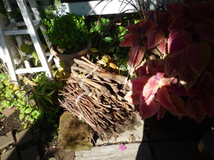10-10-16c.jpg