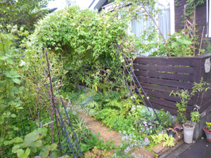 10-10-5arch.jpg