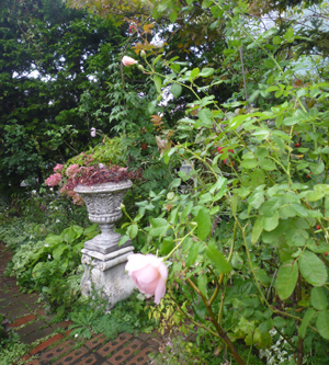 10-10-5garden2.jpg