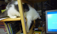 10-12-09b.jpg