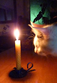 10-12-10b.jpg