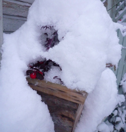 10-12-15c.jpg
