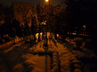 10-12-25f.jpg