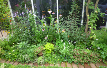 10-9-23garden1.jpg