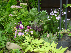 10-9-23garden10.jpg