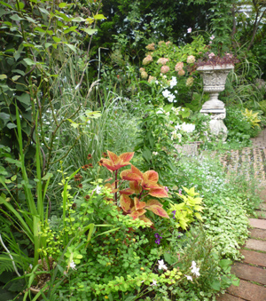 10-9-23garden2.jpg
