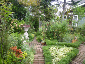 10-9-23garden3.jpg