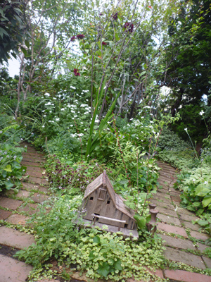 10-9-23garden4.jpg