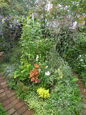 10-9-23garden6.jpg
