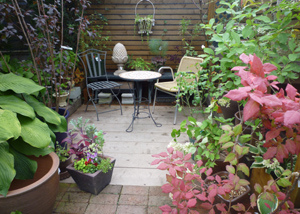 10-9-23garden7.jpg