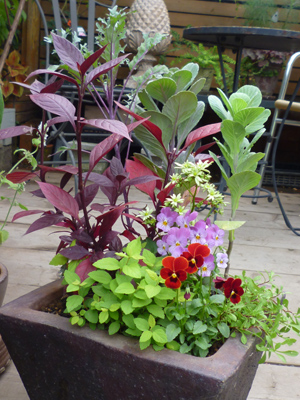10-9-23garden8.jpg