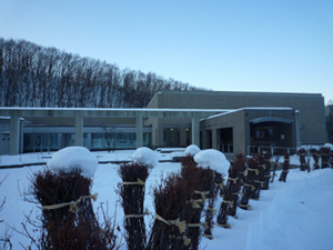 11-1-10b.jpg