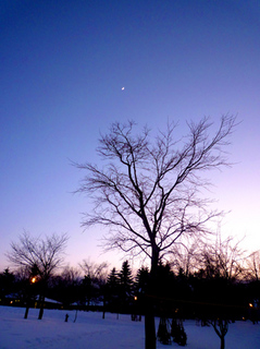 11-1-10d.jpg
