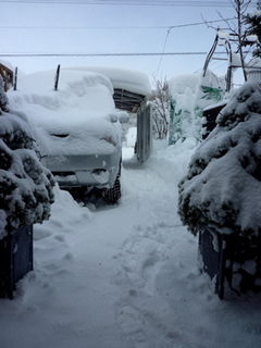11-1-8a.jpg