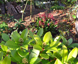 11-11-12a.jpg