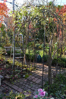 11-11-12e.jpg