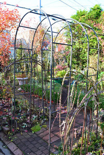 11-11-12g.jpg