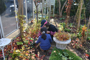 11-11-13f.jpg