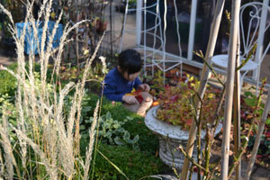 11-11-13g.jpg