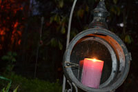 11-11-13h.jpg