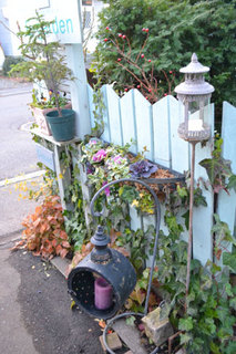 11-11-24c.jpg