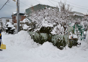 11-12-23c.jpg