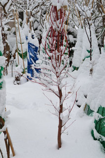 11-12-23ee.jpg