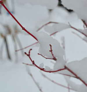 11-12-23ff.jpg