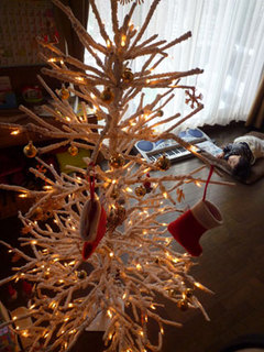11-12-24aa.jpg
