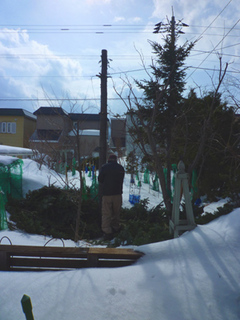 11-3-8f.jpg