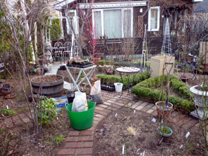 11-4-15garden.jpg