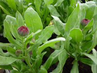 11-4-25p7.jpg