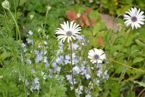 11-6-10aa.jpg