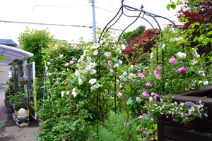11-6-23-2011.jpg