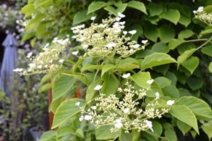 11-6g-12a.jpg