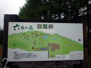 11-8-10rokuka1.jpg