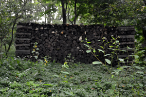 11-8-10rokuka12.jpg