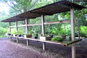 11-8-10rokuka13.jpg