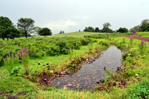 11-8-10rokuka2.jpg